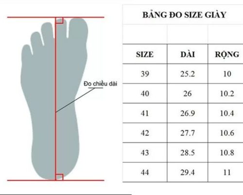 GIÀY CHẠY BỘ CAO CẤP GOA SPEED - VISport - Êm ái, cao cấp, bền bỉ bang doi size giay 2 521x400 1